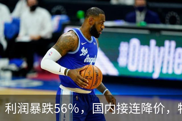 利润暴跌56％，国内接连降价，特斯拉的中国智驾何时兑现？